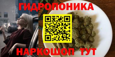 амф Кизляр