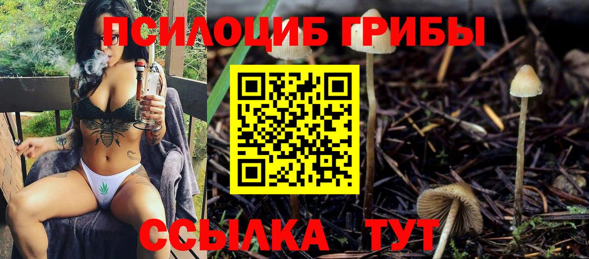 Галлюциногенные грибы Magic Shrooms  Белорецк 